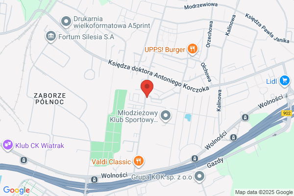Osinska Danuta. Autoczesci