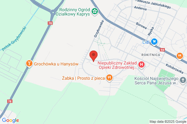 Rydygier Gabriela. Tlumacz przysiegly jez. czeskiego