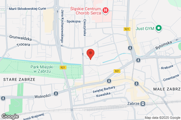 Zaklad Opiekunczo - Leczniczy Ojców Kamilianów