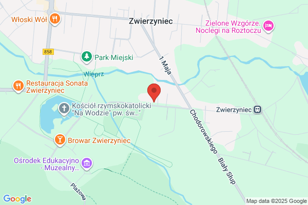 Elite Expeditions. Skup dziczyzny. Styczynska J.