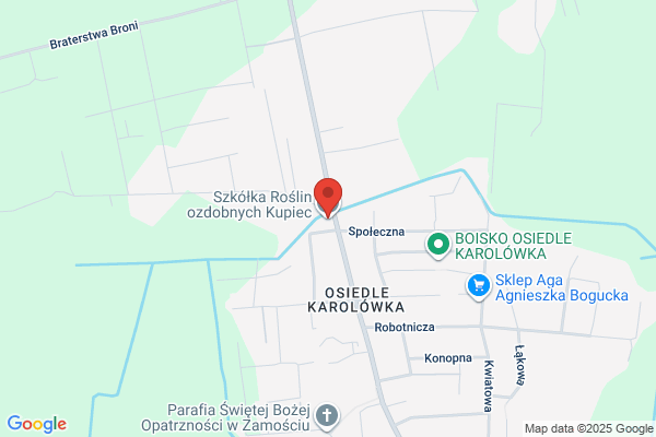 Kupiec Anna i Zbigniew. Szkólka krzewów ozdobnych