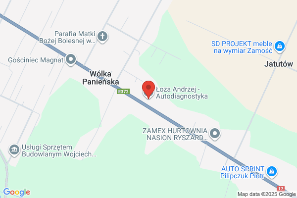 Loza Andrzej. Autodiagnostyka