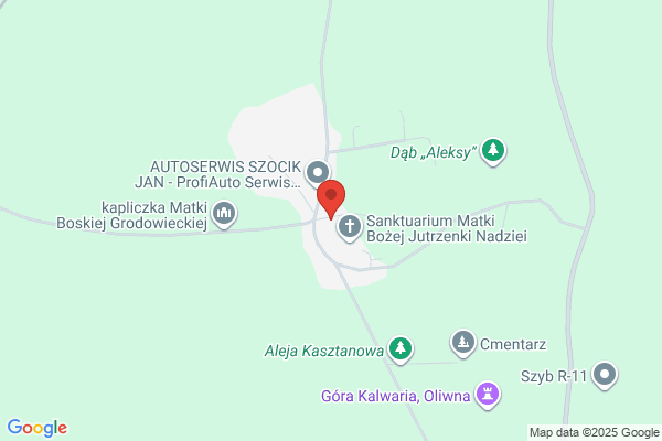 Auto. Serwis, sprzedaz czesci do aut osobowych i dostawczych