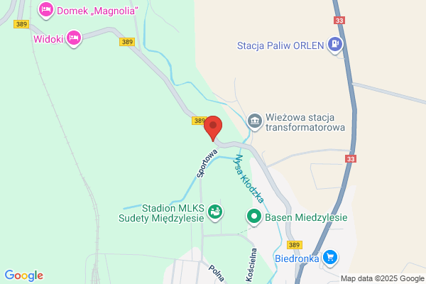 Dyjaczynska Elzbieta. Firma handlowo - transportowa