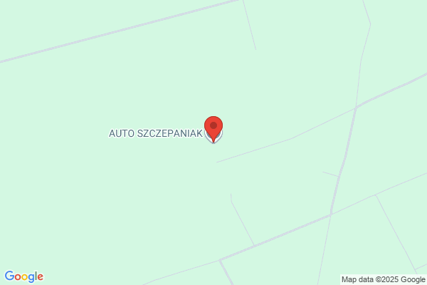 Szczepanik Daniel. PHU. Autoczesci