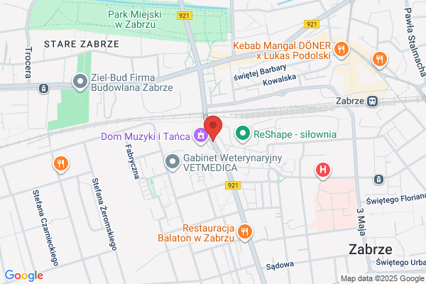 Animator. Agencja turystyczna. Szopa H.