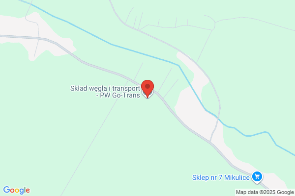 Goch Tadeusz. Wegiel