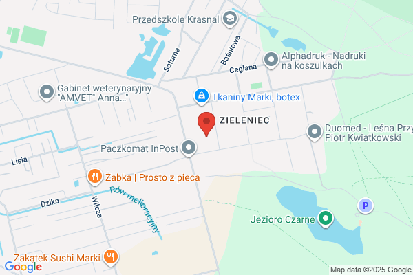 Netservis. Uslugi informatyczne. Majka B.