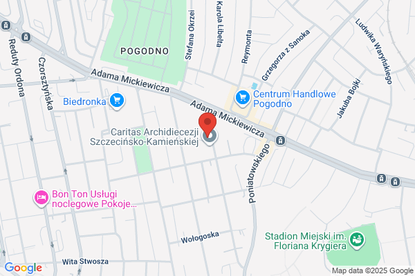 Zgromadzenie zakonne Sióstr Felicjanek