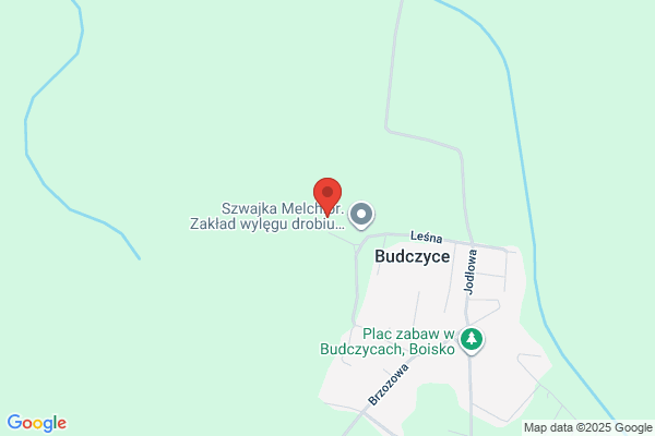 Lesnictwo Budczyce. Nadlesnictwo Olesnica