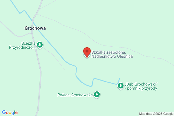 Szkólka zespolona. Nadlesnictwo Olesnica
