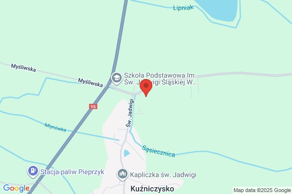 Wójcik Agnieszka. Uslugi lesne