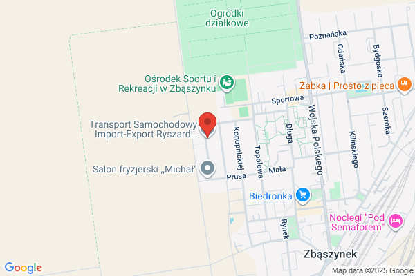 Budnik Ryszard. Transport miedzynarodowy i krajowy