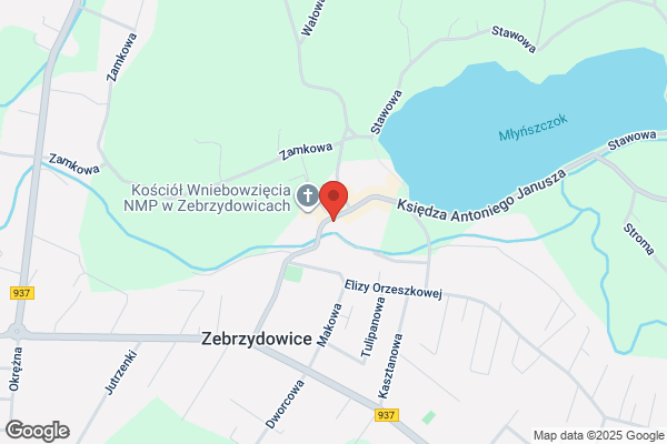 Pilsniak Henryka. Kwiaciarnia(