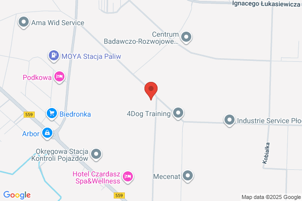 Auto-Wiga. Calodobowa pomoc drogowa, holowanie