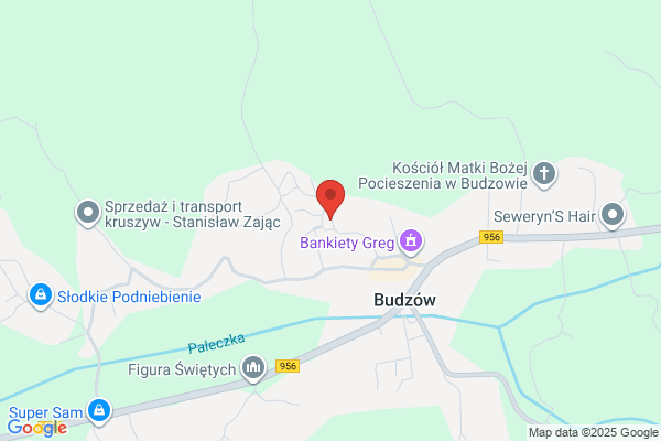 Kwasniowski Jan. Hodowla i sprzedaz krzewów ozdobnych