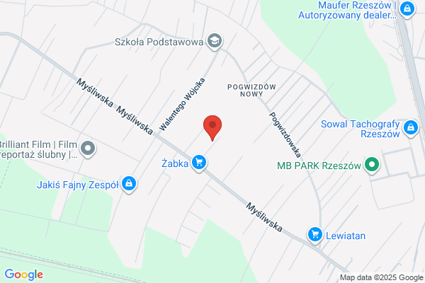 Mario-Boss. Wypozyczalnia samochodów osobowych i dostawczych