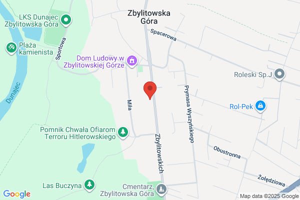 Papuga Agnieszka. Czyszczenie tapicerki samochodowej
