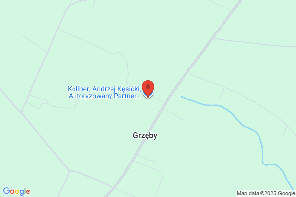 Grafster. Wardzinska- Grzebyk T., Grzebyk S.