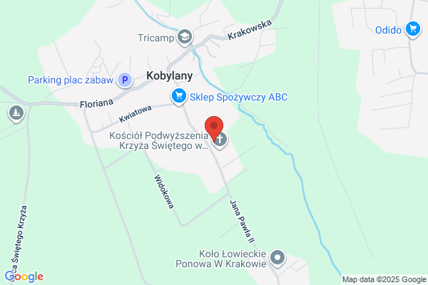 Szkola Podstawowa im. por. P. Olka ps. Golab