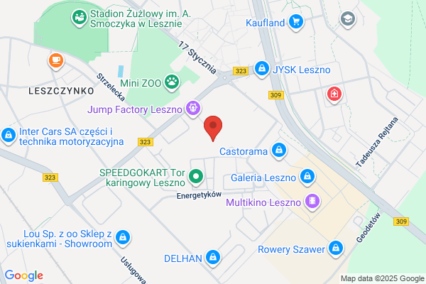 Lespin. Ochrona osób i mienia