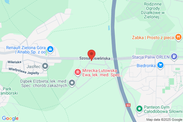 Grota Kota Hodowla kotów rosyjskich niebieskich i egipskich mau