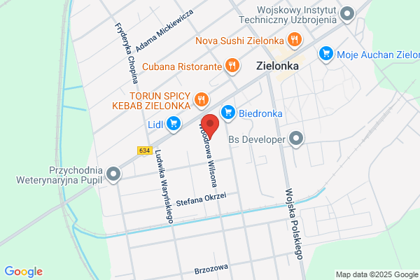 Doorpol. Drzwi garazowe, bramy, ogrodzenia