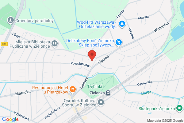 Omnibus. Dominik-Prowotorow M.