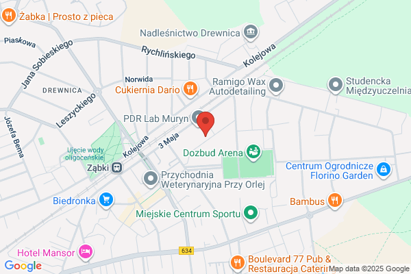 School of English. Szkola jezyków obcych