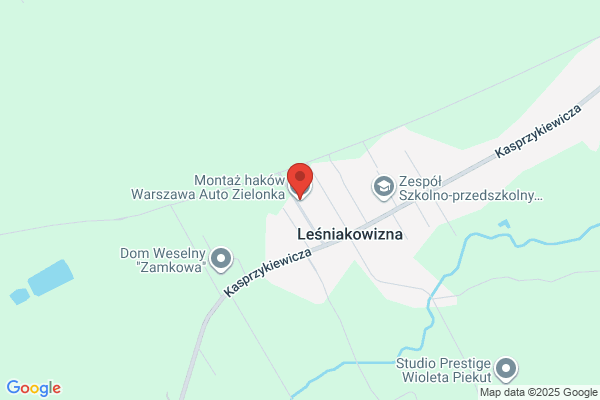 AUTO ZIELONKA KAMILA ŁUNIEWSKA