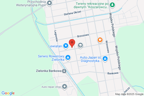 Klebek Miroslaw. Autoelektryka