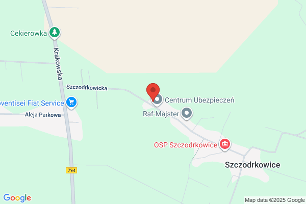 Kiszka Marian. Uslugi transportowe