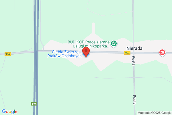 Polska Gielda. Sp. z o.o.