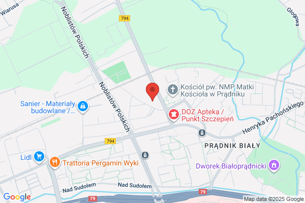Zgromadzenie zakonne Sióstr Najswietszej Duszy Chrystusa Pana