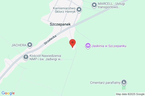 Gumis. Automyjnia. Szczepanski W.