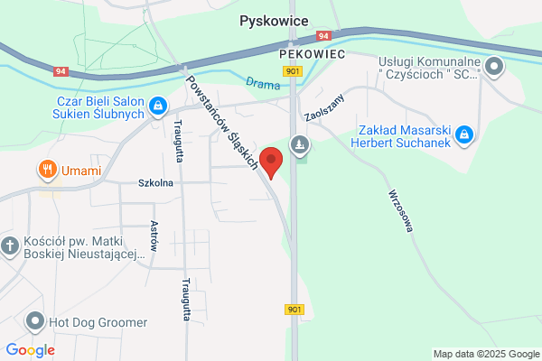Labusek Jan i Urszula. ZHU. Stacja kontroli pojazdów