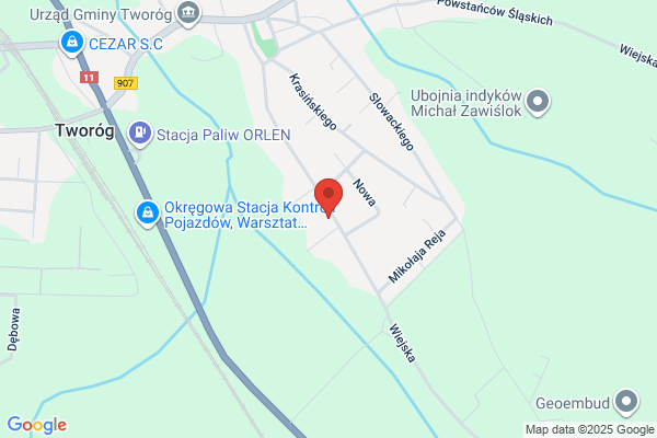 Rojowiec Antoni. Uslugi transportowe