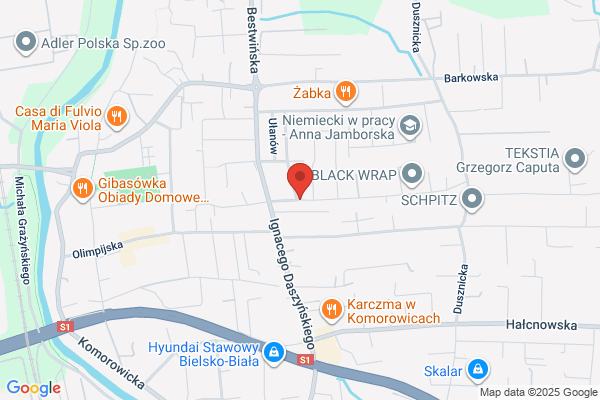 Wesolowski Boguslaw. Szewstwo