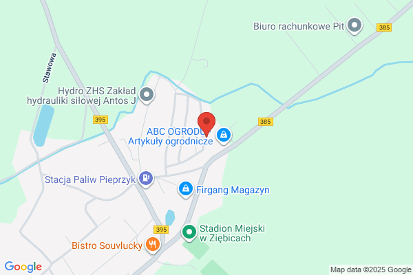 Kamir. PPH. Piatkowski K.