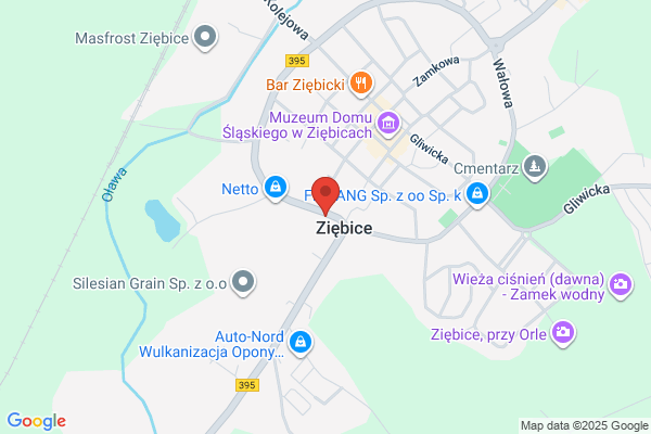 Polski Koncern Naftowy Orlen SA. Stacja paliw