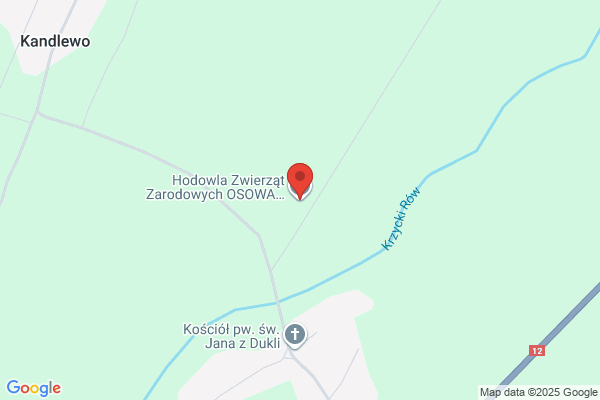 Wlosinski Jerzy. Hodowla bydla
