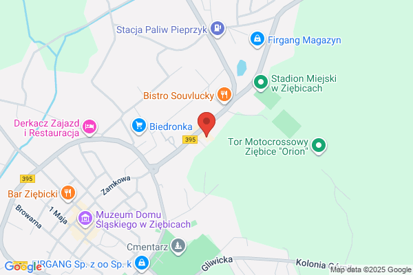 Ziebickie Centrum Kultury