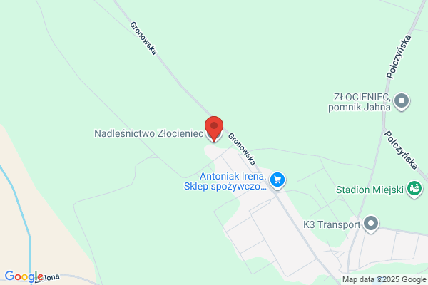 Nadlesnictwo Zlocieniec