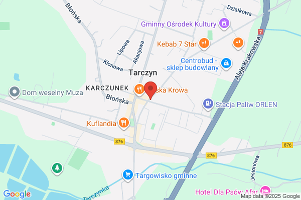 Dudzinska Hanna, agent ubezpieczeniowy