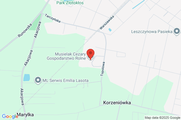 Musielak. Gospodarstow hodowlane. Odchów, sprzedaz i transport kurek towarowych