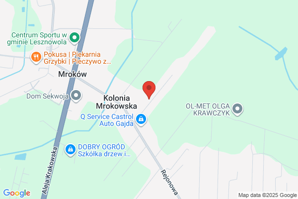 Niepubliczna Poradnia Psychologiczno - Pedagogiczna