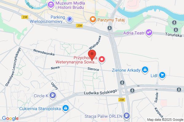 Szkola Podstawowa