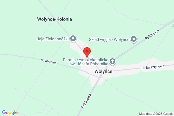 Alpin-Drzew Hubert Strzaliński Kompleksowa Pielęgnacja Terenów Zieleni