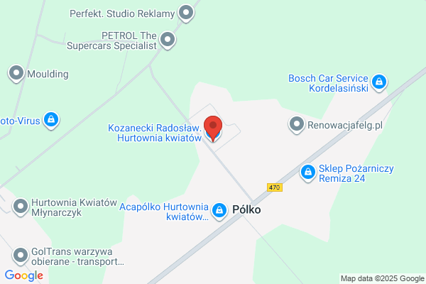 Kozanecki Radoslaw. Hurtownia kwiatów