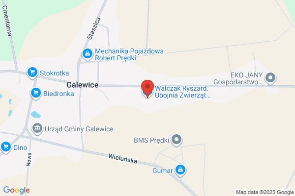 Lis Bogdan. Ubojnia zwierzat rzeznych